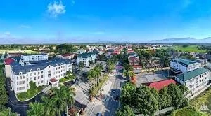 Ngày 30/3/2026, đấu giá quyền sử dụng đất và toàn bộ tài sản gắn liền với đất tại xã Tam Dương, tỉnh Phú Thọ