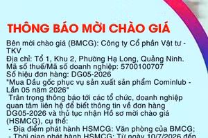 Công ty cổ phần Vật tư - TKV thông báo mời chào giá