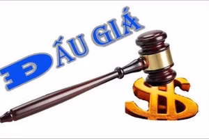 Ngày 10/7/2026, đấu giá toàn bộ khoản nợ của các khách hàng tại Agribank Chi nhánh Gia Lâm