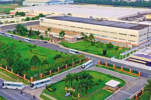 Ngày 31/07/2026, đấu giá quyền sử dụng đất tại TP. HCM