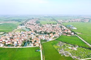 Ngày 11/7/2026, đấu giá quyền sử dụng đất ở đối với 62 thửa đất khu đồng Trước Dưới, thôn Đông Đình, xã Ứng Hòa, TP Hà Nội