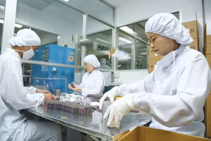 Thị phần thực tế của thuốc nội chưa phản ánh đầy đủ năng lực sản xuất trong nước. Ảnh: Tiên Giang