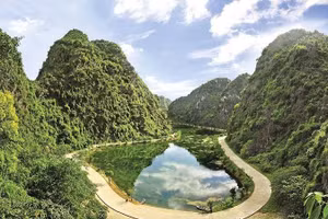 Ngày 20/08/2026, đấu giá quyền sử dụng đất, quyền sở hữu nhà ở và tài sản khác gắn liền với đất tại phường Lê Hồ, tỉnh Ninh Bình