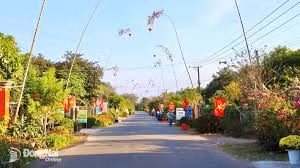 Ngày 27/5/2026, đấu giá quyền sử dụng đất và tài sản gắn liền với đất tại xã Trị An, tỉnh Đồng Nai