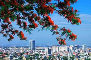 Ngày 03/7/2026, đấu giá 05 tài sản bảo đảm là quyền sử dụng đất tại phường An Biên, thành phố Hải Phòng