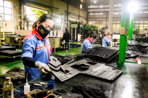 Tập đoàn Công nghiệp Cao su Việt Nam đang từng bước chuyển hóa lợi thế về đất đai, tài nguyên và hệ sinh thái sản xuất thành các động lực tăng trưởng mới