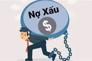 Ngày 28/07/2026, đấu giá khoản nợ của Công ty TNHH TMĐT Xuất nhập khẩu Tấn Lộc tại Agribank Chi nhánh Thành Đô
