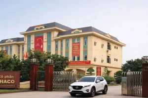 Doanh thu năm 2025 của Armephaco đạt 1.385 tỷ đồng, lợi nhuận sau thuế hơn 4 tỷ đồng. Ảnh minh họa: Hoài Tâm