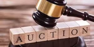 Ngày 09/4/2026, đấu giá toàn bộ dư nợ gốc, lãi và phí (nếu có) của Công ty TNHH Đầu tư Sản xuất Năng lượng TNC Sài Gòn