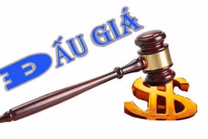Ngày 28/07/2026, đấu giá tài sản bảo đảm được thế chấp tại Agribank - Chi nhánh Sơn La của Ông Đặng Văn Thành và Bà Đặng Thị Hiền (Lần 3)