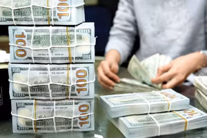 Việt Nam cần khoảng 1.400 tỷ USD vốn đầu tư để hiện thực hóa mục tiêu tăng trưởng hai chữ số trong giai đoạn 2026 – 2030. Ảnh: Nhã Chi