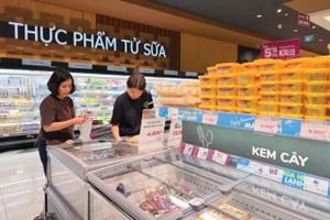 Nghị định số 46/2026/NĐ-CP ngày 26/1/2026 quy định chi tiết thi hành một số điều và hướng dẫn thi hành Luật An toàn thực phẩm đã được điều chỉnh thời hạn áp dụng một lần. Ảnh: Nhã Chi