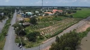 Ngày 18/6/2026, đấu giá quyền sử dụng đất tại xã Đông Thành, tỉnh Tây Ninh