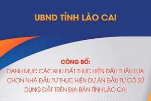 Danh mục các khu đất thực hiện đấu thầu lựa chọn nhà đầu tư thực hiện dự án đầu tư có sử dụng đất trên địa bàn tỉnh Lào Cai