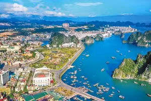 Ngày 14/8/2026, đấu giá quyền sử dụng đất tại phường Bãi Cháy, tỉnh Quảng Ninh