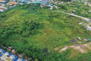 Năm 2026, Gia Lai đặt kế hoạch đấu giá quyền sử dụng đất, cho thuê đất để thực hiện 36 dự án với tổng diện tích 356 ha, dự kiến thu về gần 4.000 tỷ đồng. Ảnh minh họa: Song Lê