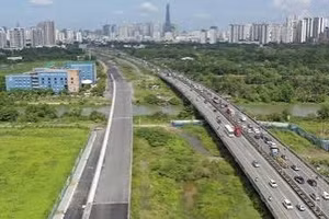Ngày 26/8/2026, đấu giá quyền sử dụng đất tại TP. HCM