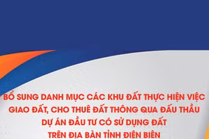 Bổ sung danh mục các khu đất thực hiện việc giao đất, cho thuê đất thông qua đấu thầu dự án đầu tư có sử dụng đất trên địa bàn tỉnh Điện Biên