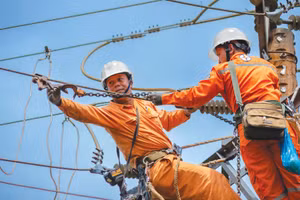 Công ty CP Tư vấn đầu tư và Phát triển năng lượng An Khánh từng trúng 8 gói thầu do Công ty Lưới điện cao thế TP. Hà Nội mời thầu. Ảnh minh họa: Phúc An