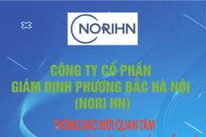 Công ty CP Giám định Phương Bắc Hà Nội thông báo mời quan tâm tham gia thu mua/xử lý lô hàng giấy bị tổn thất
