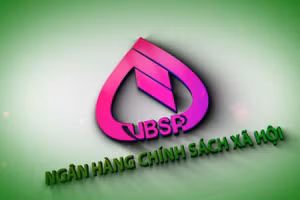 Bổ nhiệm kiêm giữ chức Ủy viên Hội đồng quản trị Ngân hàng Chính sách xã hội