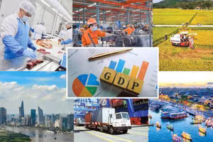 Các địa phương có tốc độ tăng trưởng đạt và vượt kịch bản đề ra thì tiếp tục phấn đấu đạt mức cao hơn.