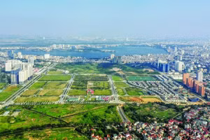 Điều chỉnh quy hoạch sử dụng đất quốc gia thời kỳ 2021-2030, tầm nhìn đến năm 2050 là cơ sở để lập, điều chỉnh quy hoạch ngành quốc gia, quy hoạch vùng, quy hoạch tỉnh theo quy định của pháp luật.