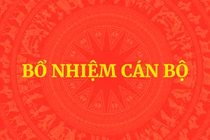 Thủ tướng Chính phủ quyết định nhân sự 2 Bộ