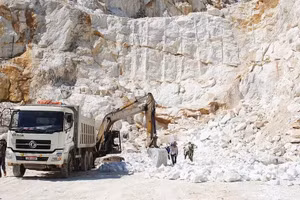 Bộ Nông nghiệp và Môi trường chủ trì, phối hợp với các bộ, ngành, địa phương, doanh nghiệp liên quan thống nhất phương án cụ thể về điều chỉnh quy hoạch khoáng sản đá vôi, đá sét tại thành phố Hải Phòng (hoàn thành trong tháng 7 năm 2026)