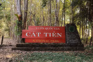 Vườn quốc gia Cát Tiên.
