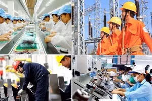 Việc phân loại doanh nghiệp được thực hiện theo ngành, lĩnh vực và khung tỷ lệ vốn nhà nước nắm giữ