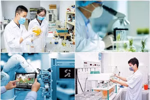 Chính phủ tháo gỡ vướng mắc trong lập, giao dự toán cho hoạt động khoa học, công nghệ và đổi mới sáng tạo