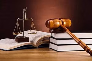 Việc phân công nhiệm vụ lập pháp được thực hiện theo nguyên tắc ưu tiên giao cho bộ, ngành đã đề xuất nhiệm vụ; kế thừa các phân công đã được Chính phủ, Thủ tướng Chính phủ giao trước đó