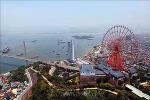 Một góc Hạ Long, trung tâm tỉnh Quảng Ninh nhìn từ trên cao 