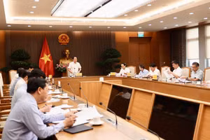 Phó Thủ tướng Lê Tiến Châu phát biểu tại cuộc làm việc với Thanh tra Chính phủ - Ảnh: VGP/Thu Sa