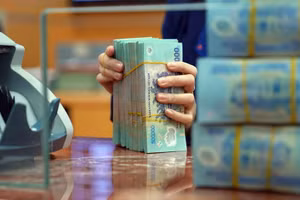 Việc bổ sung vốn nhằm tăng cường năng lực tài chính, nâng cao khả năng hoạt động của Ngân hàng Hợp tác xã Việt Nam, đáp ứng yêu cầu phát triển hệ thống ngân hàng hợp tác và các quỹ tín dụng nhân dân.