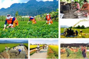 Chính phủ yêu cầu các bộ, ngành và địa phương căn cứ kế hoạch vốn được giao để lập, phê duyệt và phân bổ kế hoạch đầu tư công trung hạn cho từng chương trình theo đúng quy định