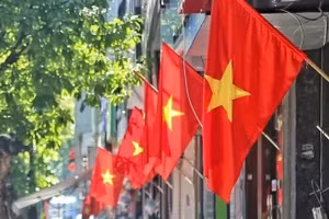 Khẩn trương thực hiện sắp xếp thôn, tổ dân phố và bố trí, sử dụng, chế độ, chính sách đối với người hoạt động không chuyên trách ở cấp xã, ở thôn, tổ dân phố