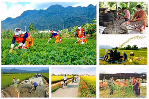 Bảo đảm đầy đủ cơ sở pháp lý để tổ chức thực hiện các Chương trình mục tiêu quốc gia