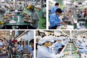 Đến năm 2030, phấn đấu có tối thiểu 200 doanh nghiệp tiên phong tăng trưởng nhanh, bứt phá vượt trội