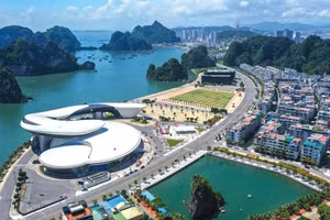 Bản tin thời sự sáng 24/6
