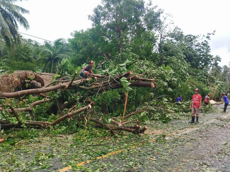 Ảnh chỉ mang tính minh họa: Internet