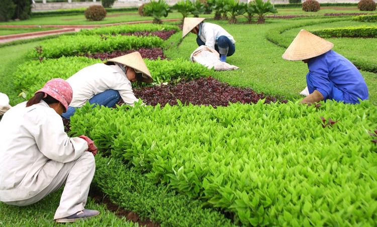 Ảnh chỉ mang tính minh họa