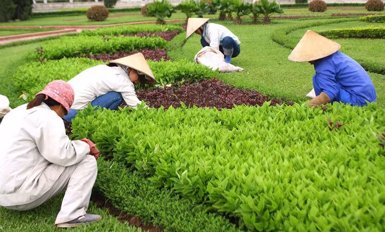 Ảnh chỉ mang tính minh họa