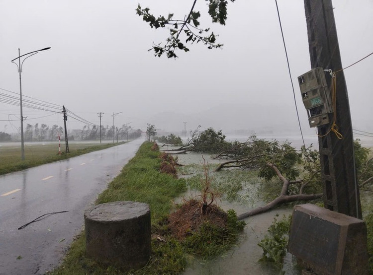 Bão số 5 gây nhiều thiệt hại ở Hà Tĩnh