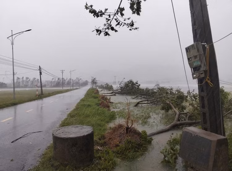 Bão số 5 gây nhiều thiệt hại ở Hà Tĩnh