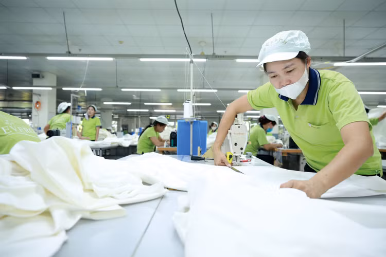 Đến hết tháng 9/2025, cả nước có 231.337 doanh nghiệp gia nhập và tái gia nhập thị trường, tăng 26,41% so với cùng kỳ năm 2024. Ảnh: Xuân Mộc