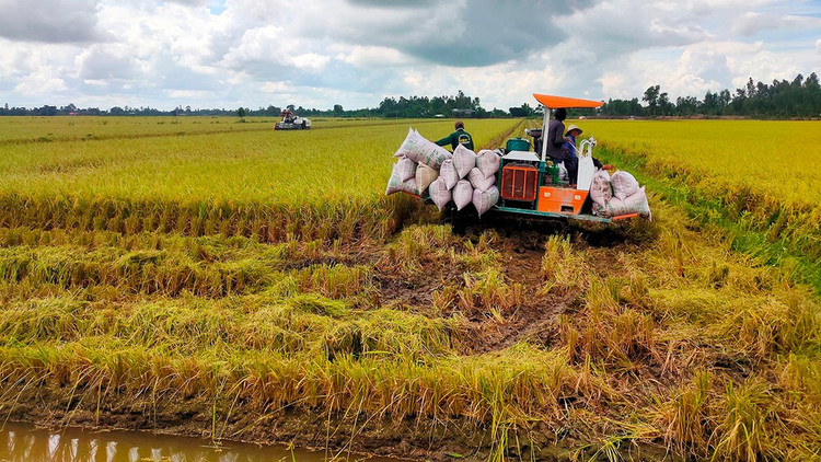 Ảnh minh họa: Internet