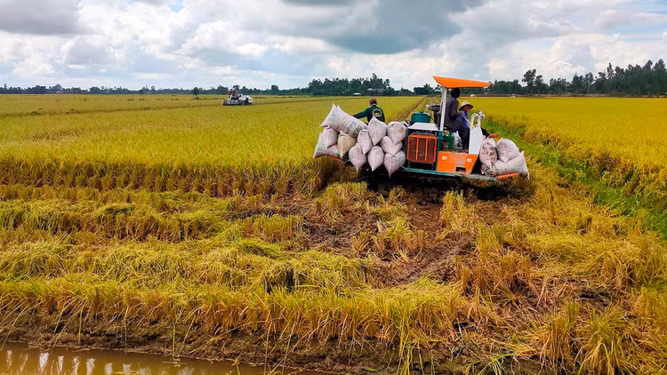 Ảnh minh họa: Internet