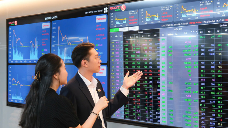 Luỹ kế 9 tháng đầu năm 2025, Rồng Việt ghi nhận tổng doanh thu 818 tỷ đồng và lợi nhuận sau thuế đạt 260 tỷ đồng